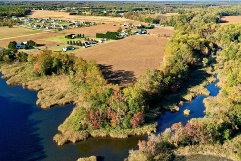 Sussex County officials have authorized the Center for the Inland Bays to submit an application to study the feasibility of recreational uses for a 17-acre parcel along Herring Creek. The county purchased the land last summer. DRISCOLL DRONES PHOTO